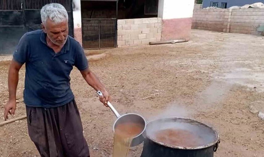 Araban'da geleneksel gün pekmezi üretimi başladı