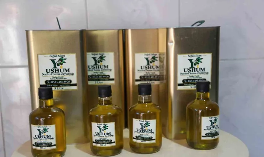 Artvin'de Butko zeytini hasadı başladı: Yerel üreticilerle dayanışma
