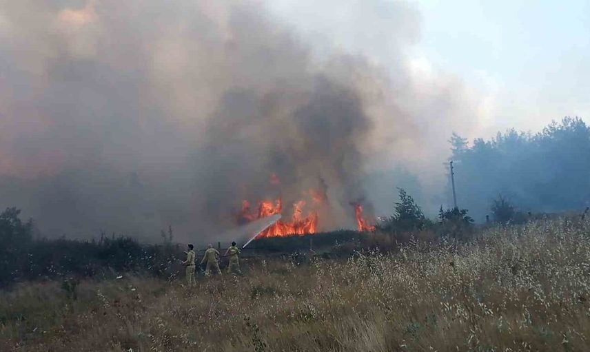 Muğla'daki orman yangınının kaynağı kaynak makinesi olarak belirlendi, 1 kişi gözaltına alındı