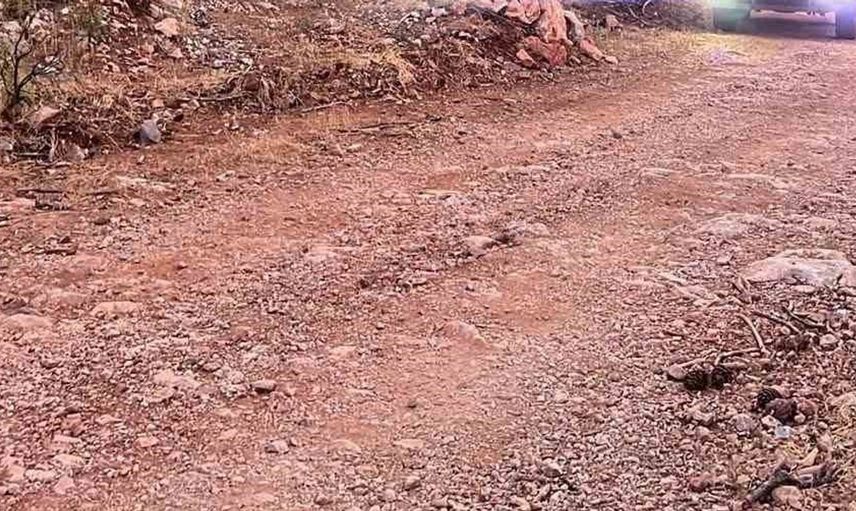 Alanya'da orman yangını kısa sürede kontrol altına alındı