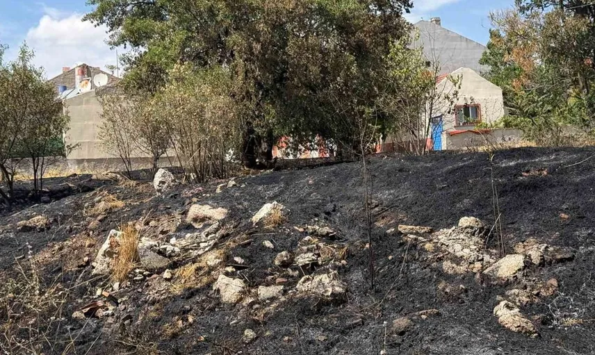 Çocukların torpil oyunu yangına neden oldu: Badem ağacı zarar gördü