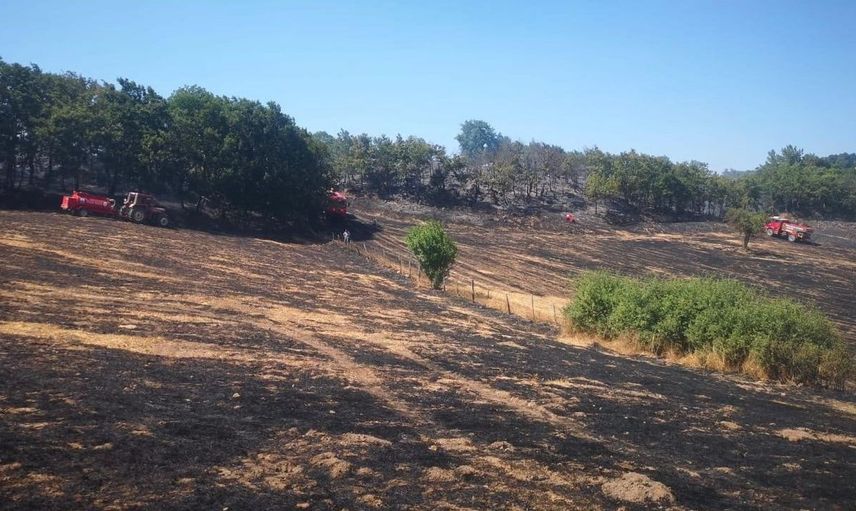 Çanakkale'de tarım arazisinde çıkan yangın kontrol altına alındı