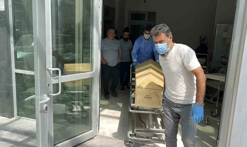 Yozgat'ta kene ısırması sonucu hayatını kaybeden kadının ardında acı bıraktı