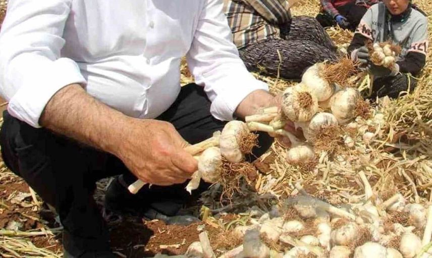 Altun'dan tarım mesajı