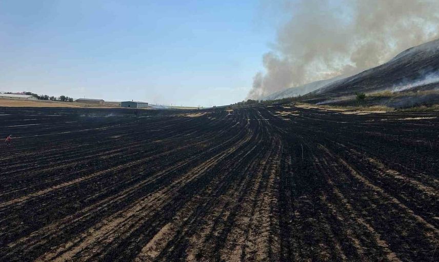 Bitlis’teki örtü yangını tarım alanlarına büyük zarar verdi