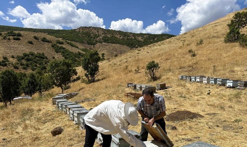 Bingöl'de arıcılara hibe desteği ve hastalık denetimleri sürüyor
