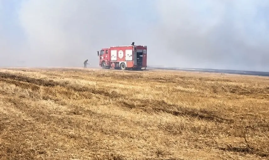 Tekirdağ'da anız yangını paniği: İtfaiye ekipleri hızlı müdahale etti