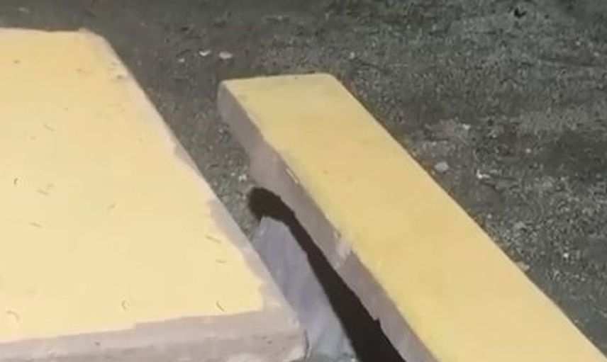 Uludağ'da yiyecek arayan tilki, vatandaşlardan yardım aldı