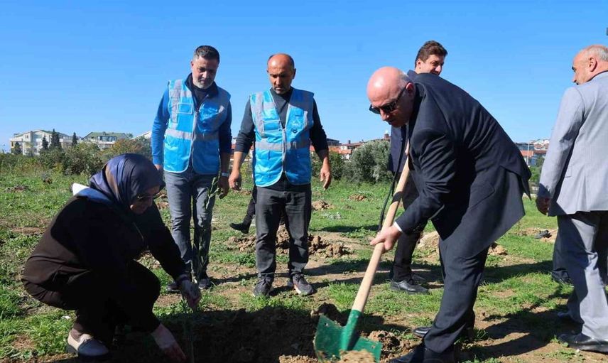Darıca'da zeytin fidanları toprakla buluştu: 100 fidan dikimi etkinliği gerçekleştirildi