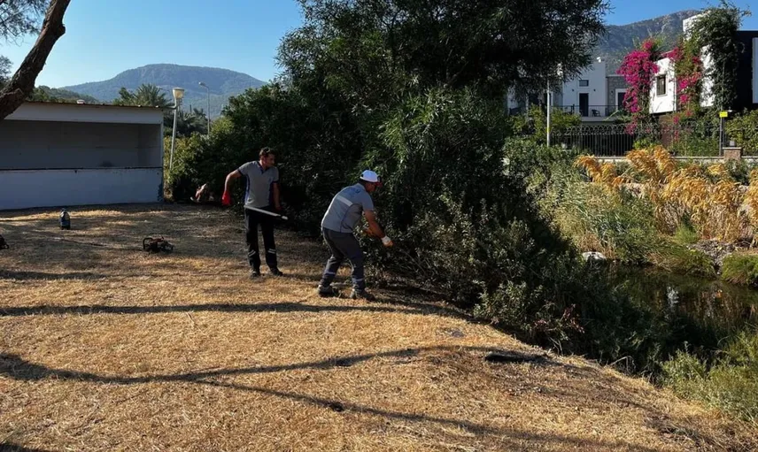 Bodrum'da ot temizliği seferberliği: Yangın riski azalıyor ve çevre korunuyor