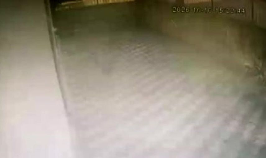 Pendik'te hafriyat kamyonu altı katlı binaya çarptı