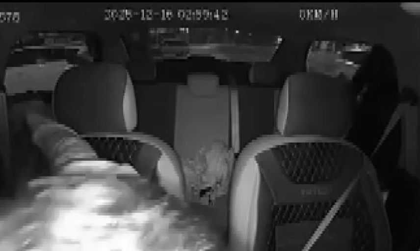 Silahlı çatışma sonucu hayatını kaybeden Berk Keleş'in hikayesi