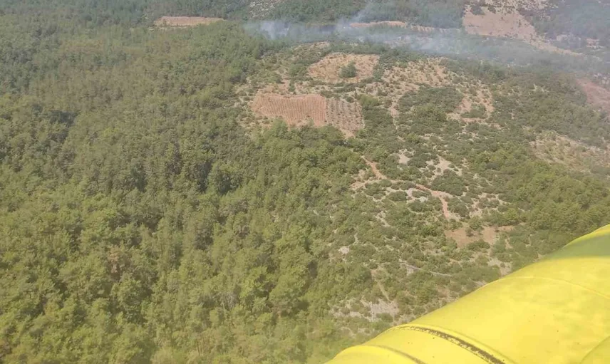 Muğla'da çıkan orman yangını, havadan ve karadan müdahele ile kontrol altına alındı