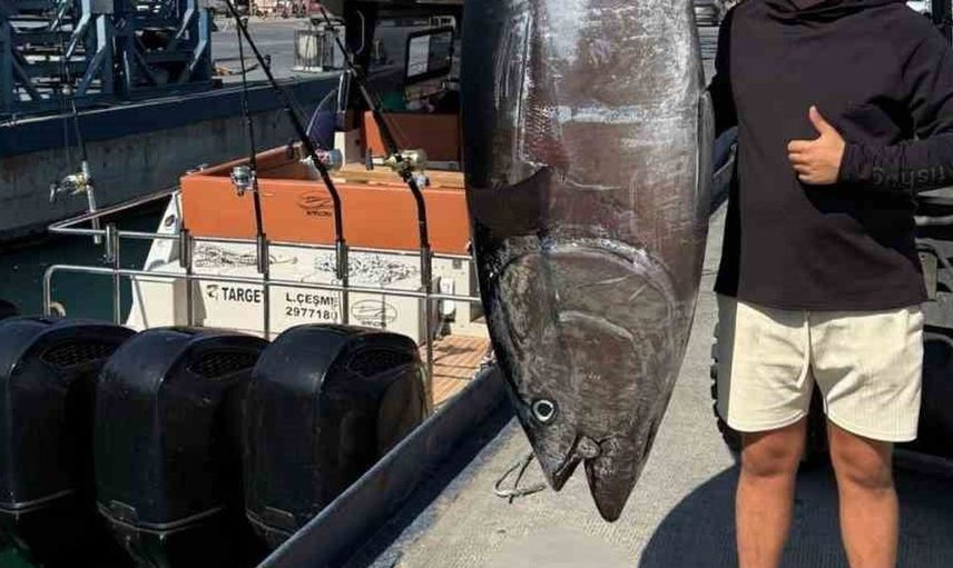 İzmir sığacık açıklarında 260 kilogramlık dev orkinos avlandı