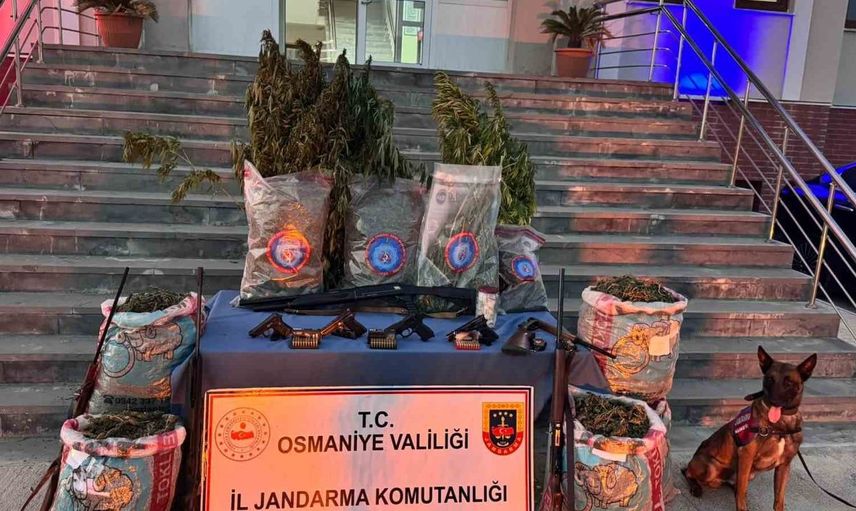 Osmaniye'de 31 kilo esrar ve 527 kök kenevir ele geçirildi