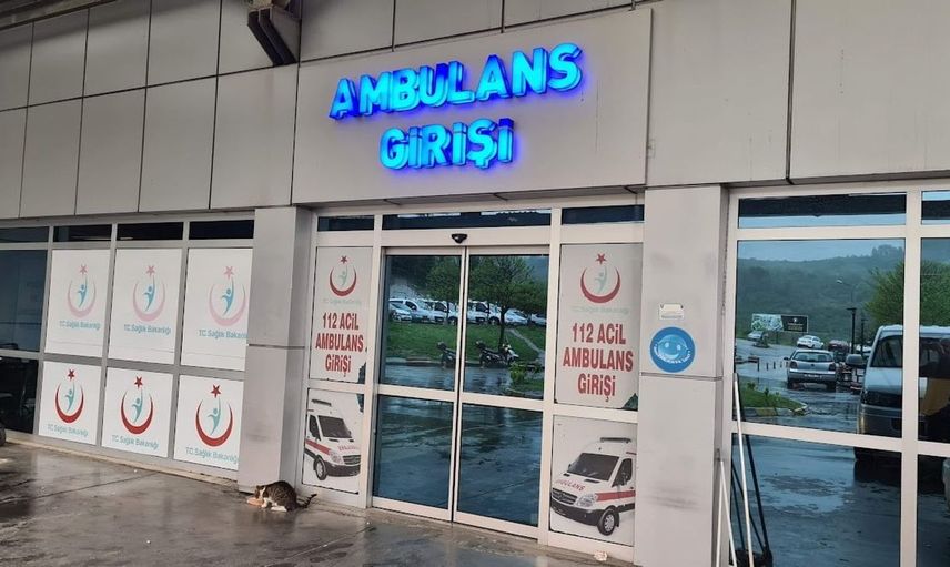 Ağaçtan düşen adamın merdiveni tutan kişiye zararı: İki yaralı