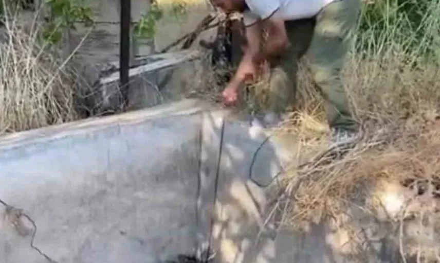 Nesli tükenme tehlikesindeki oklu kirpi, mahalliden vatandaşın yardımıyla kurtarıldı