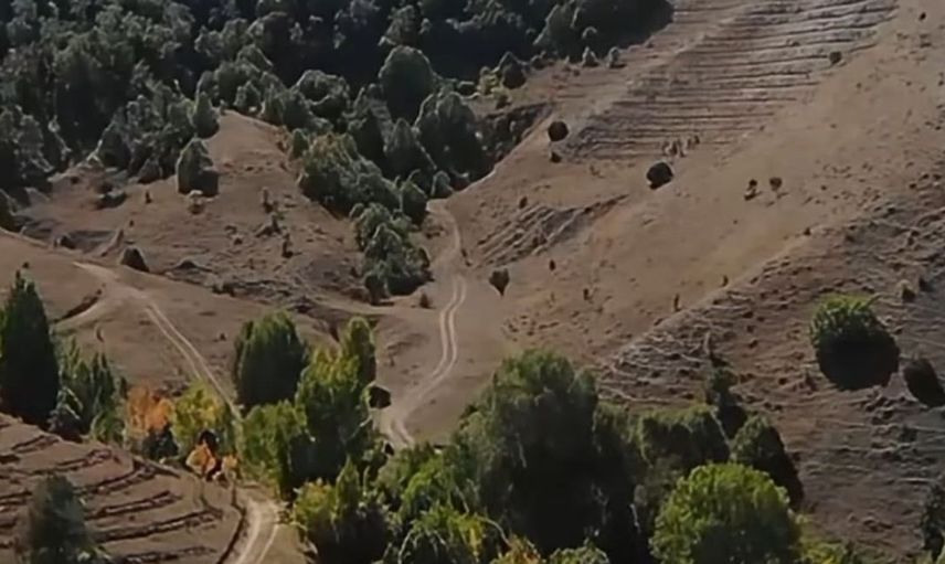 Bayburt'ta erozyonla mücadele için 118 bin fidan toprakla buluşacak