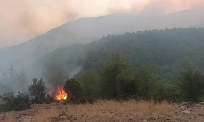 Kozan'daki orman yangını, yerleşim yerlerine sıçramadan söndürüldü