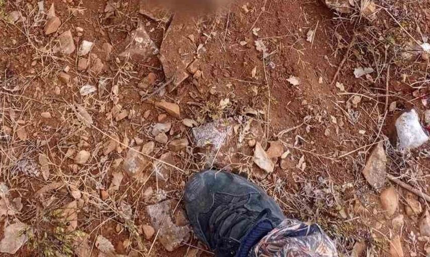 Tarım arazilerine zarar veren yaban domuzları Sivrihisar'da avlandı