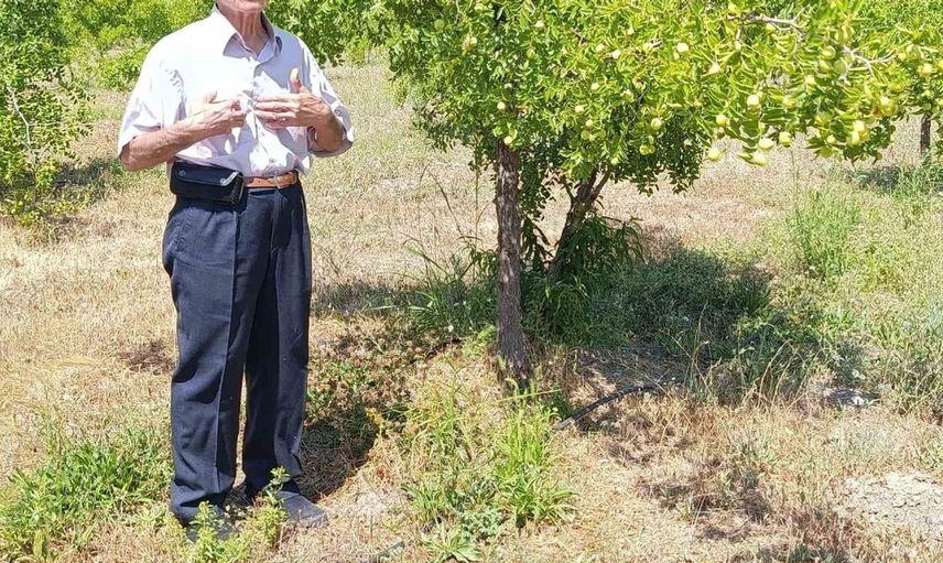 Çivril'de hünnap hasadı için geri sayım başladı