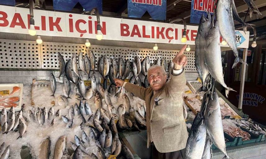 Palamut sezonu bereketli geçiyor: Fiyatlar 100 TL’ye düştü