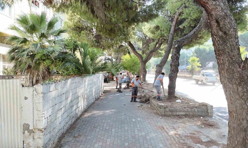 Nazilli'de karayolu temizliği için büyük seferberlik