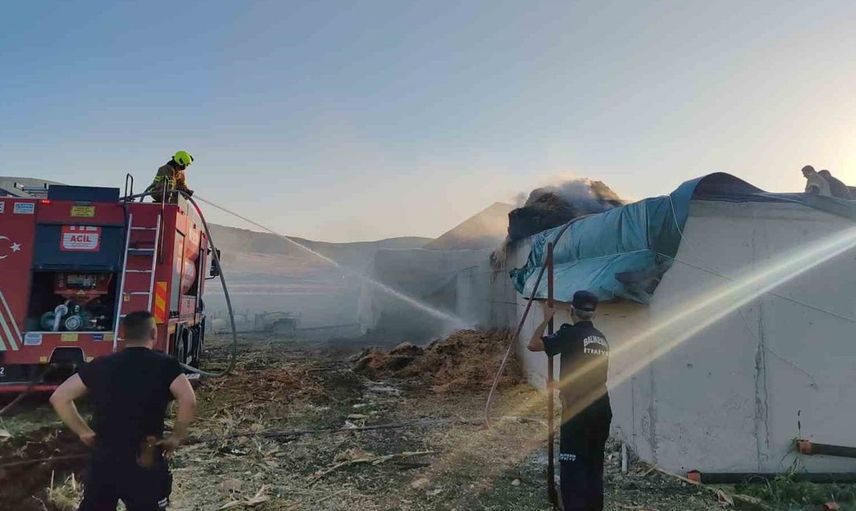 Manyas'ta çiftlikte çıkan yangın itfaiye tarafından kontrol altına alındı