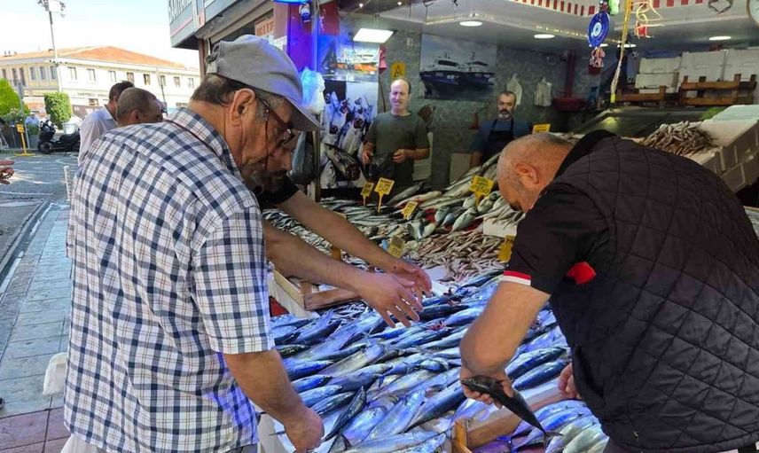 Karadeniz'de palamut fiyatları düşüyor: Vatandaşlar seviniyor