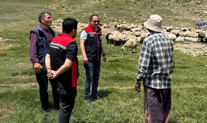 Erzincan tulum peyniri yaylalarda geleneksel yöntemlerle üretiliyor