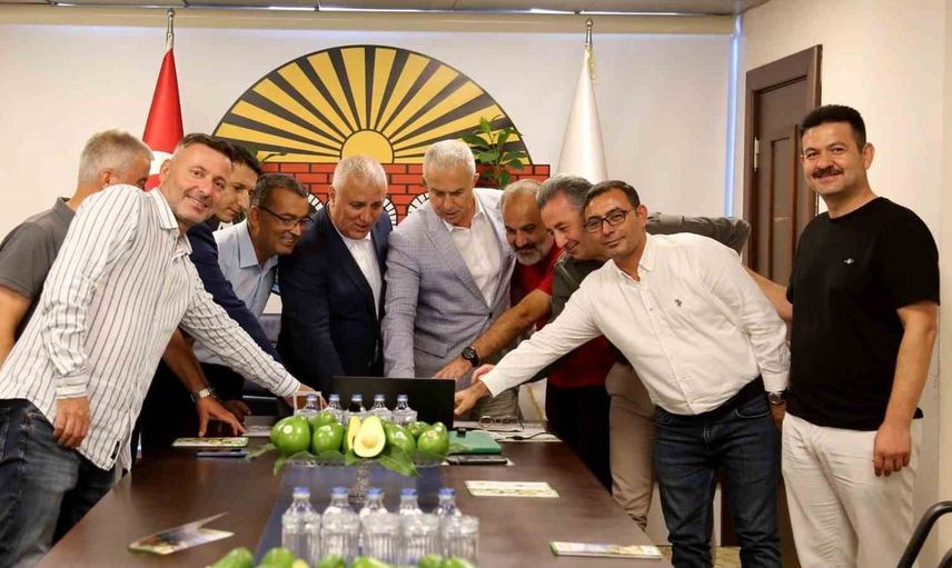 Alanya avokadosu için Avrupa Birliği coğrafi işaret başvurusu yapıldı