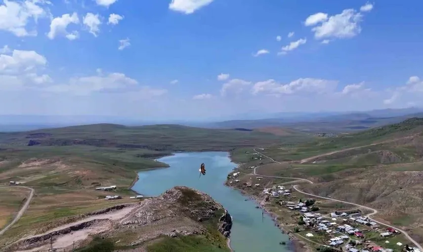 Doğa tutkununun gözünden kartal ve yılanın gökyüzündeki dansı