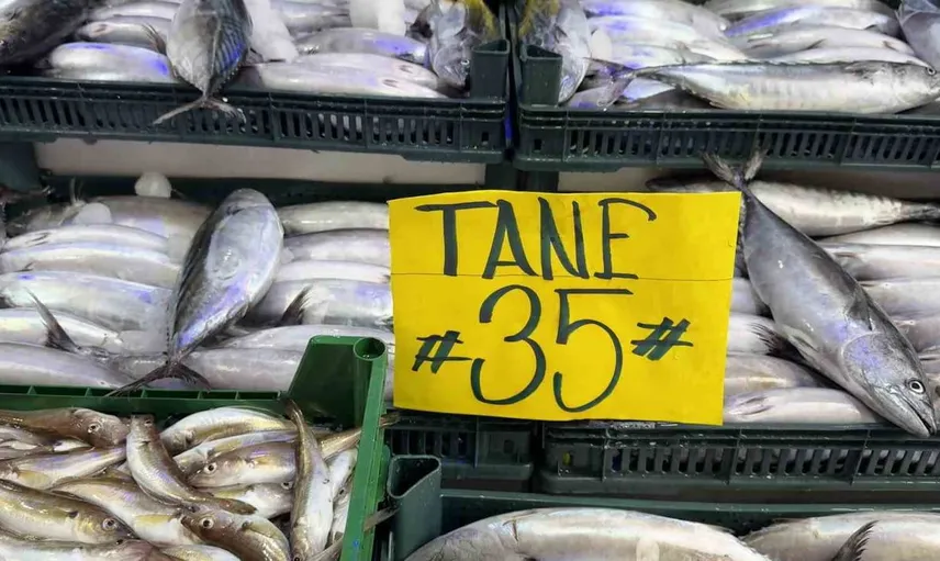 Karadeniz'de palamut fiyatları düşerken ambalaj pahalanıyor
