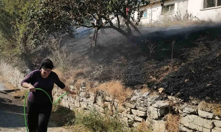 Mudurnu'da yangın paniği: Tavuk kümesleri zarar görmedi