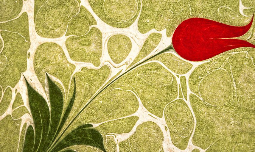 Ebru Sanatı Nedir, Nasıl Yapılır?