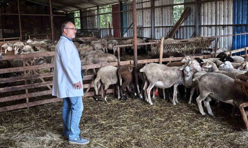 Süt kalitesi ve hayvan sağlığı güvence altında