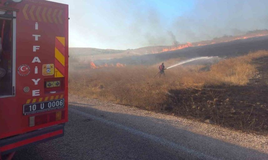 Manyas'ta ot yangını hızlı müdahale ile kontrol altına alındı