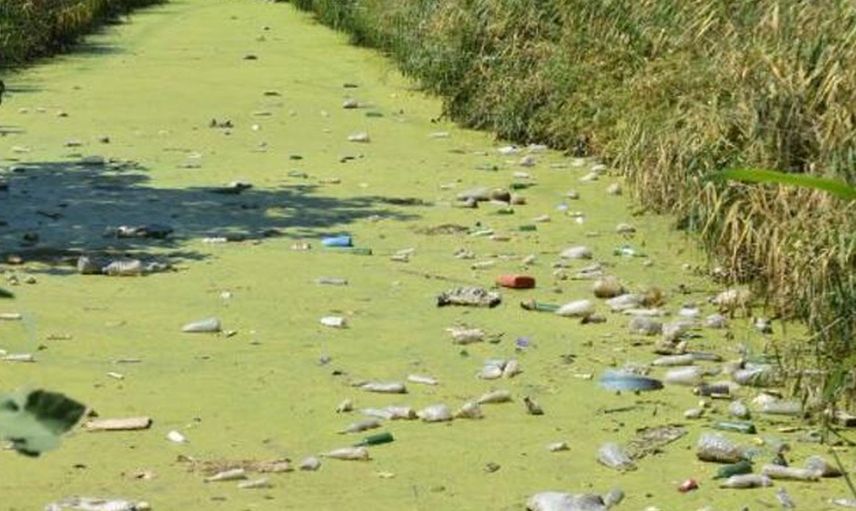 Edirne'de Derenin Rengi Aşırı Kirlenme Yüzünden Yeşile Döndü!