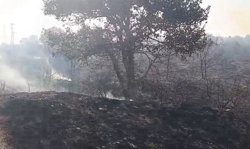 Edirne'deki anız yangını ormanda büyük tehdide dönüşüyor