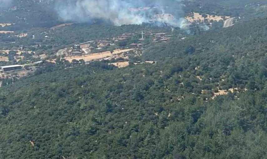 Ayvacık'taki yangına havadan ve karadan müdahale devam ediyor