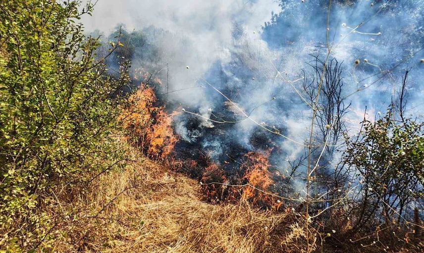 Manisa'da orman yangınına hızlı müdahale: Ekipler alevleri kontrol altına aldı