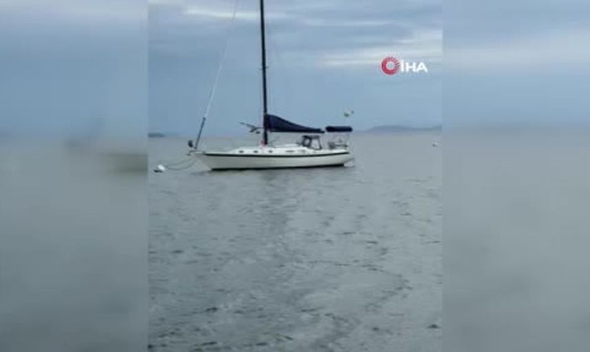 abd'de deniz uçağı düştü: 4 yaralı