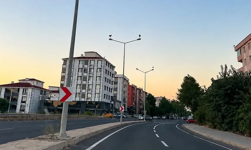 Muratlı'da leylekler aydınlatma direklerinde dinleniyor