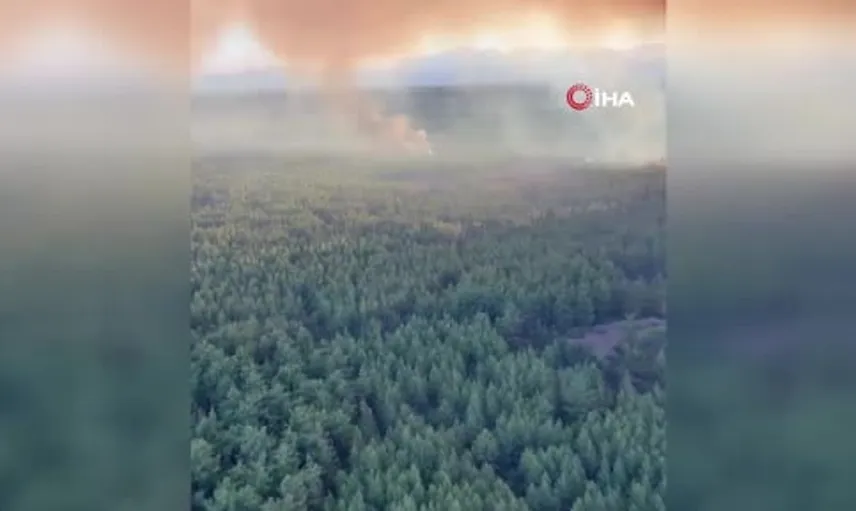 Adana'da evlerin yanında çıkan orman yangınına müdahale devam ediyor