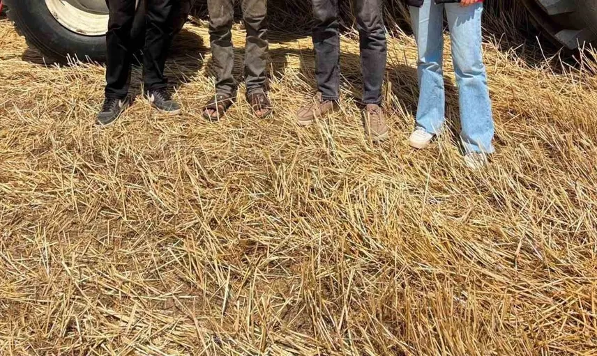 Otlukbeli'nde hububat hasadı sürerken denetimler sürüyor