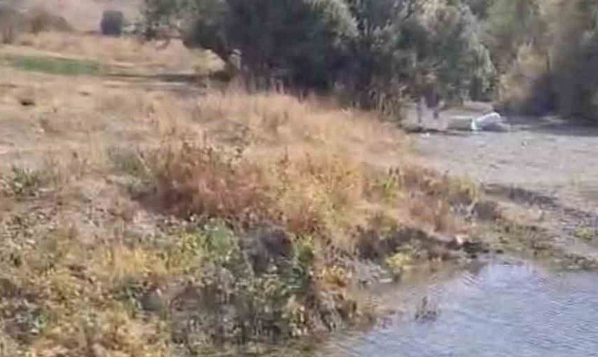 Yüksekova'da kuraklık nedeniyle balıkları kurtarmak için seferberlik başlatıldı