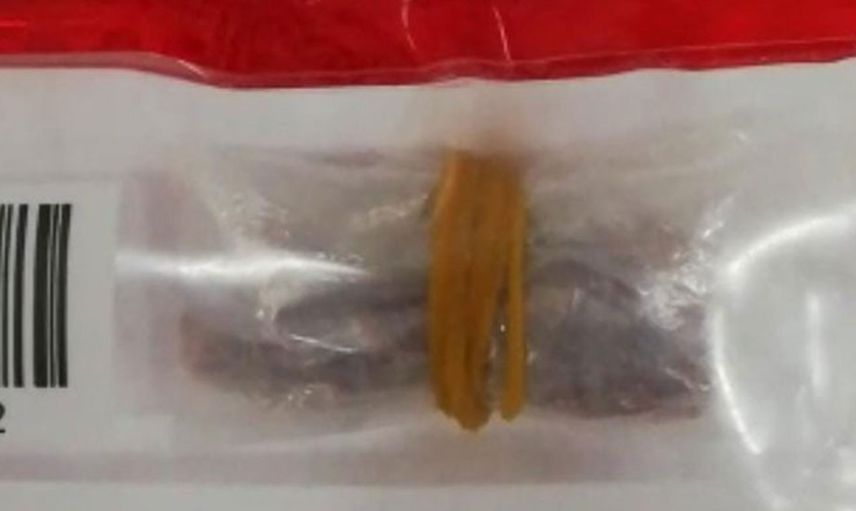 Elazığ'da Gerçekleştirilen Operasyonda 1 Kg Nükleer Madde Ele Geçirildi