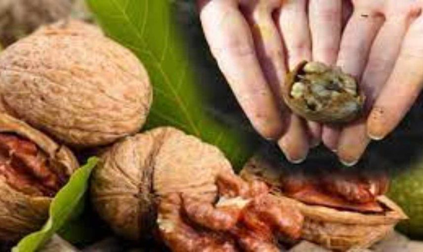 Eldeki inatçı ceviz lekelerine kesin çözüm! 6 etkili çözüm ile eldeki ceviz lekelerinden kurtulun