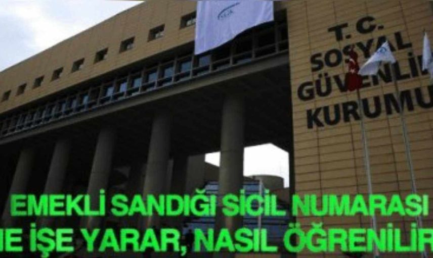 Emekli Sandığı sicil numarası sorgulama, öğrenme işlemi nasıl yapılır? Emekli Sandığı sicil numarası sorgulama öğrenme