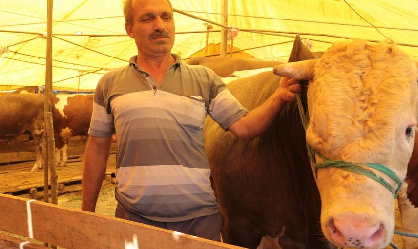 Erzurum kurbanlık fiyatları ne kadar? 2022 Erzurum büyükbaş, küçükbaş kurbanlık hisse fiyatları